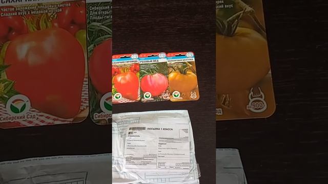 Самые сладкие и крупноплодные сорта томатов. смотреть онлайн