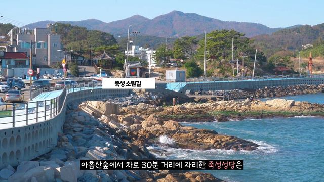 부산 여행 코스 뚜벅이 겨울 vlog🚖 택시투어 로이쿠와 함께 부산 기장 당일치기 여행, 해동용궁사, 아홉산숲, 오랑대공원, 죽성성당 등 смотреть онлайн