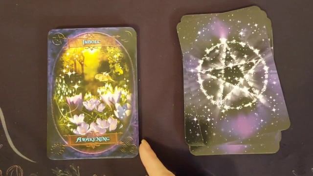 WITCHES' WISDOM ORACLE CARDS |Unboxing|Flip though| смотреть онлайн