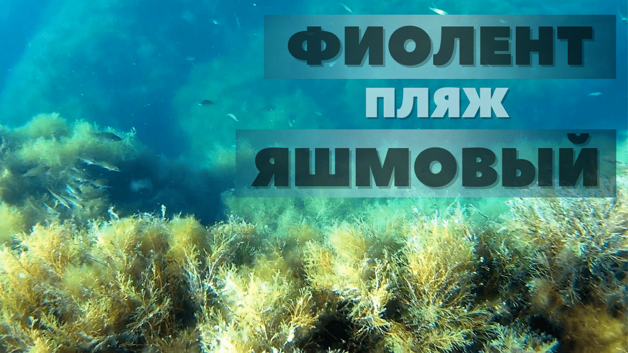 мыс Фиолент/подводный мир/пляж ЯШМОВЫЙ/яшма/лучший пляж Крыма 2021 август смотреть онлайн