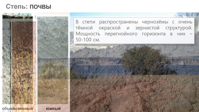 6/5 Лесостепи, степи и полупустыни смотреть онлайн