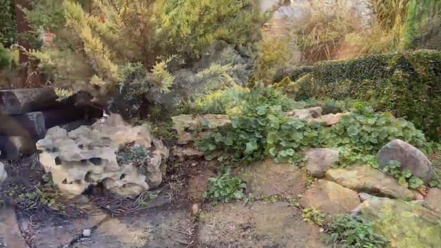 ХОЗЯЙКА В САДУ- работа кипит! Что не поздно сделать в ноябре. смотреть онлайн