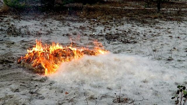 ЧТО БУДЕТ ЕСЛИ СЖЕЧЬ ДОХРЕНА ПУХА С КАМЫШЕЙ? "ВАЖНО ГРОМКОЕ НАЗВАНИЕ" смотреть онлайн