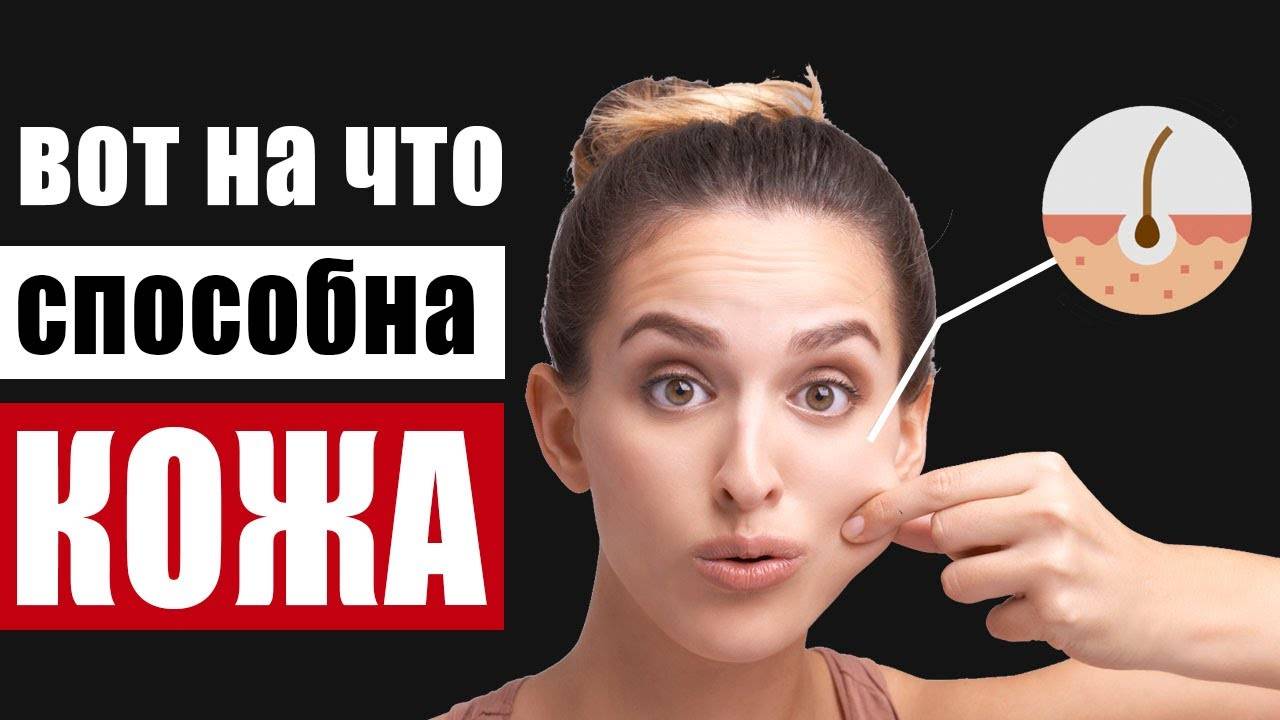 Занимательные факты о коже человека смотреть онлайн