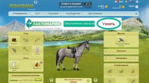 Случка лошади и рождение жеребенка сSuzume