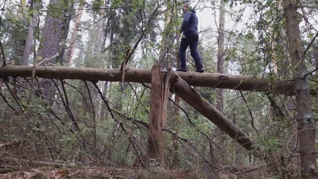 Чему нас учит природа? смотреть онлайн