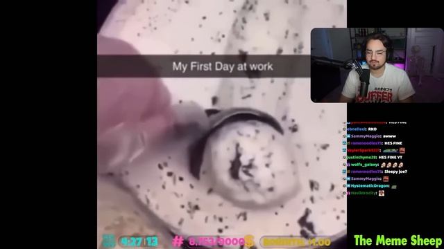 Bigpuffer Reacts to Memes That You Share With Your Friends! смотреть онлайн