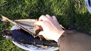 Отдыхаем на даче / Коптим рыбу, паримся в бане / Дача в ноябре