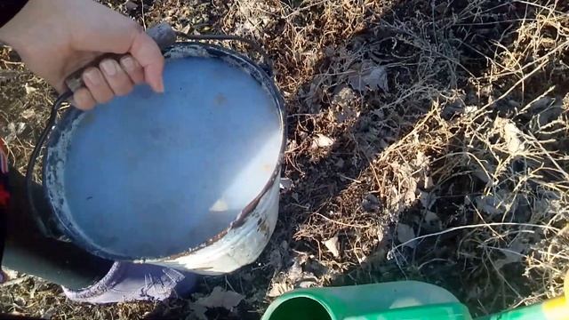 ЧЁРНАЯ СМОРОДИНА: ВЕСЕННЯЯ ОБРАБОТКА ОТ ПАУТИННОГО КЛЕЩА. смотреть онлайн