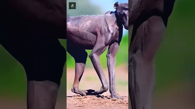 14 March 2023 смотреть онлайн