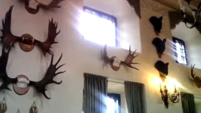 Несвижский замок смотреть онлайн