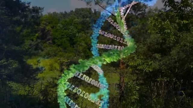 Ключ ко Вселенной Матрица с Частотой 528 Гц - Абсолютная Регенерация Всего Тела. смотреть онлайн