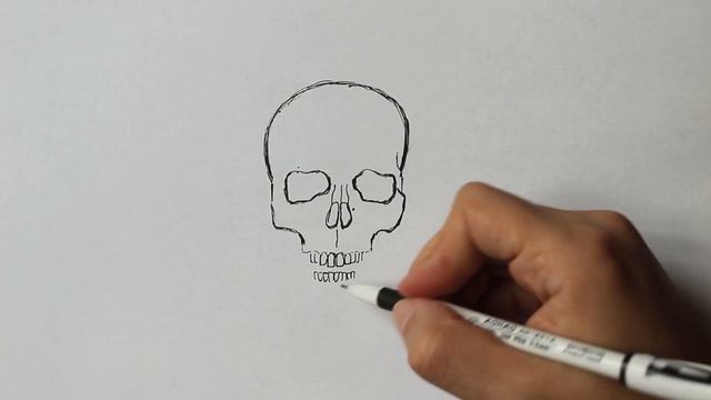 Как нарисовать скелет смотреть онлайн