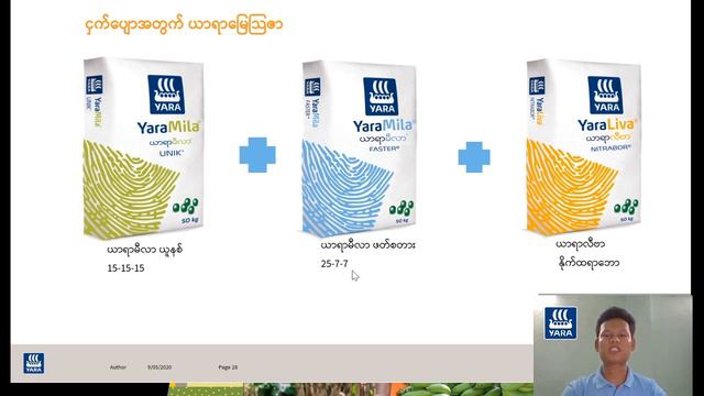 သီးနှံအာဟာရ ဆွေးနွေးခန်း - ငှက်ပျော (အပိုင်း-၁) смотреть онлайн