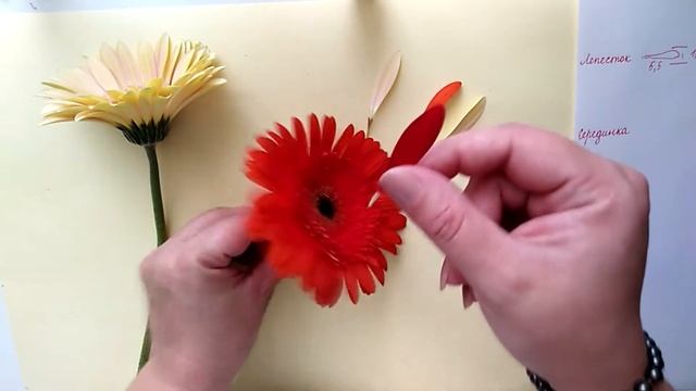 ГЕРБЕРА РАЗБОР смотреть онлайн