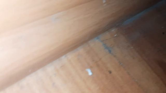 НАШЕСТВИЕ КРОВАВОГО ЛЕГИОНА | ФАРАОНОВЫ МУРАВЬИ смотреть онлайн