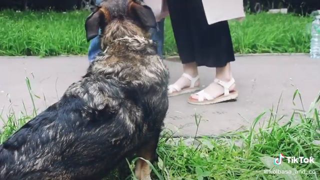 12 июля 2020 г.