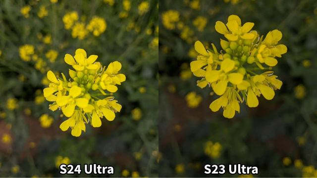 Samsung Galaxy S24 Ultra Vs Samsung Galaxy S23 Ultra Camera Test смотреть онлайн