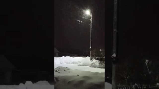 Благодарю за добрые слова и пожелания подписчика нашего канала Людмилу питомник Кастропуло Крым смотреть онлайн