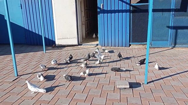 14 февраля 2022 г. смотреть онлайн