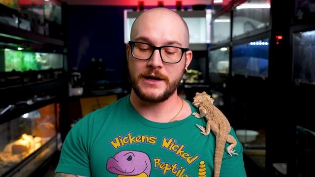 These Care Guides Might Be A Death Sentence! I get Angry Reviewing Horrific PetSmart Care Advice! смотреть онлайн
