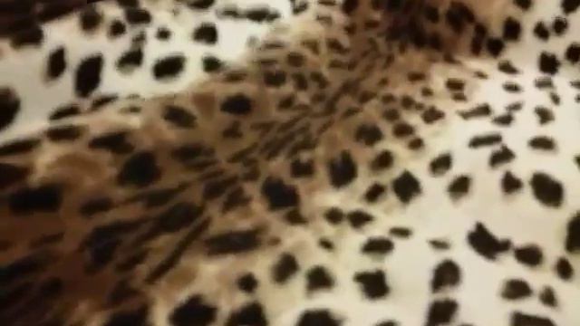 Разукраска Зачарованный лес смотреть онлайн