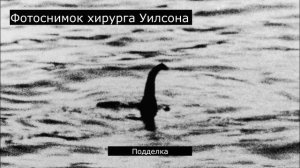 ЛОХНЕССКОЕ ЧУДОВИЩЕ правда или нет?