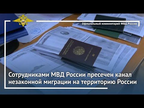 Ирина Волк: Сотрудниками МВД России пресечен канал незаконной миграции на территорию России смотреть онлайн