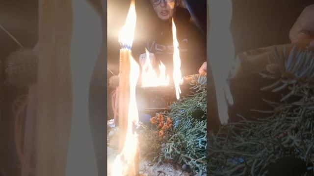 ПАУЧЬЯ ПОРЧА на ПОГОСТЕ????❤️ смотреть онлайн