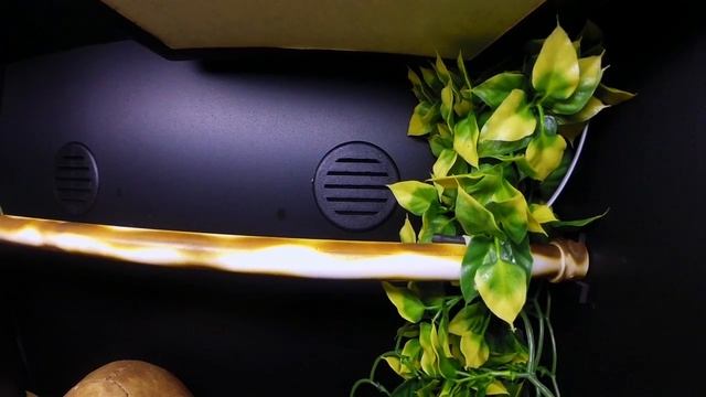 Green Tree Python Set-up смотреть онлайн