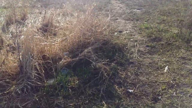 Нажицы о карасей 21.04.2021 смотреть онлайн