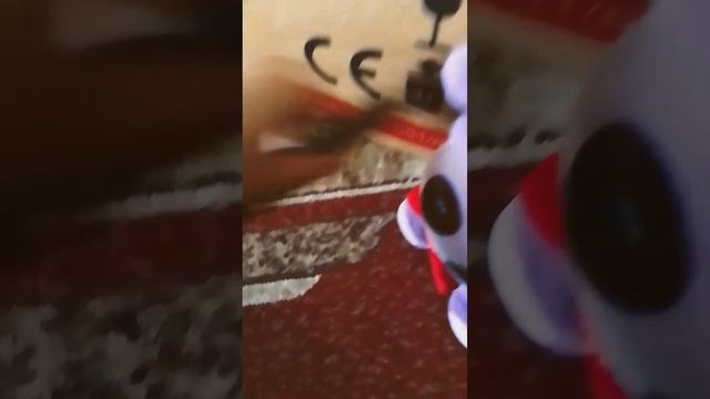 драка с Бони