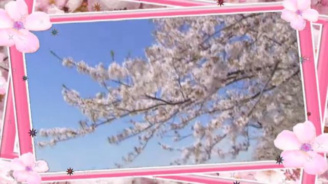 КРАСИВАЯ МЕЛОДИЯ ДУШИ смотреть онлайн
