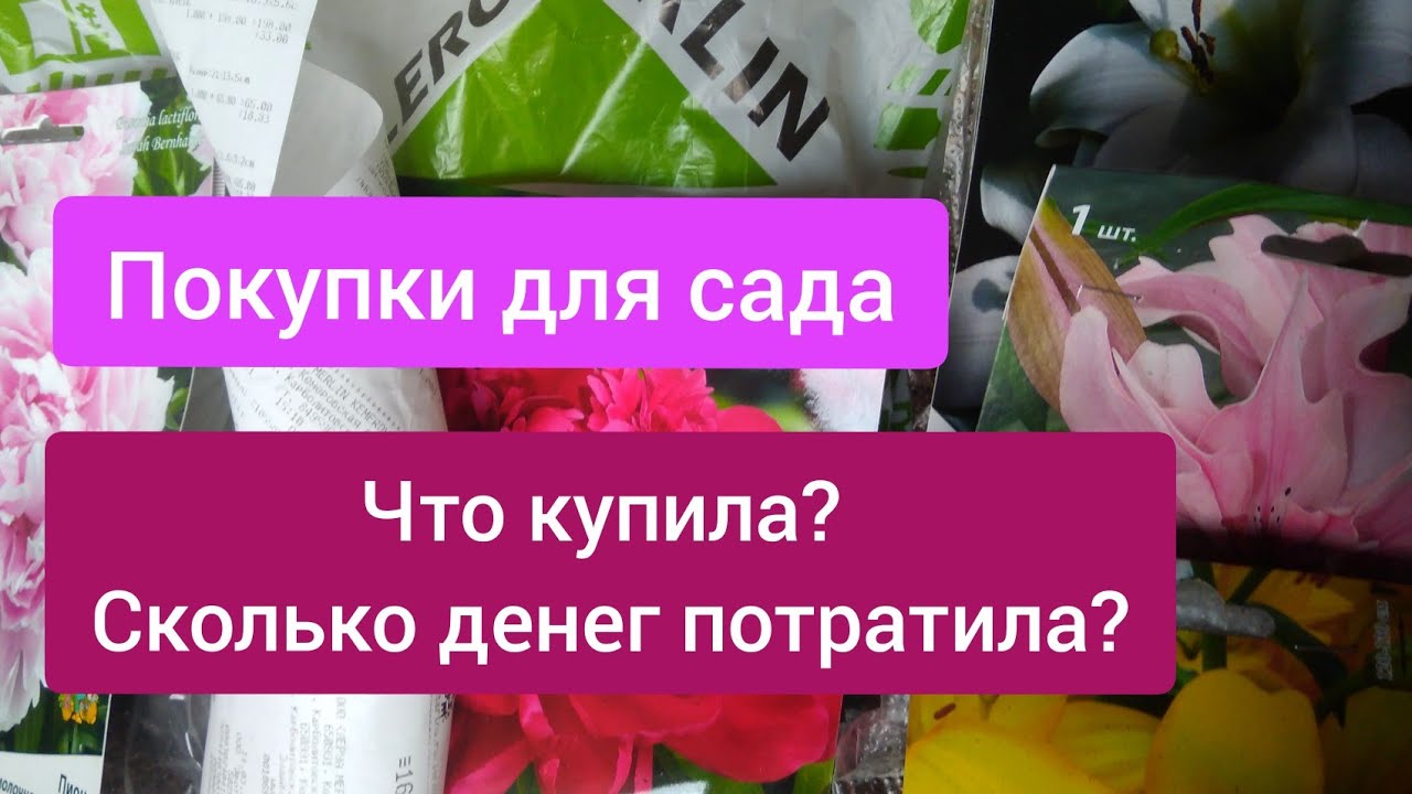 Леруа Мерлен .Покупки для сада | Лилии. Пионы. Ирисы