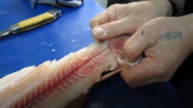 Готовим щуку. 9 января 2018года. смотреть онлайн