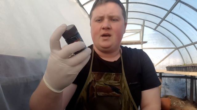 Это просто СКАЗКА!😍Поверить сложно! смотреть онлайн