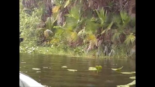 Paddling/Political Corruption/Good vs.Evil -Pt 3 of 3 смотреть онлайн