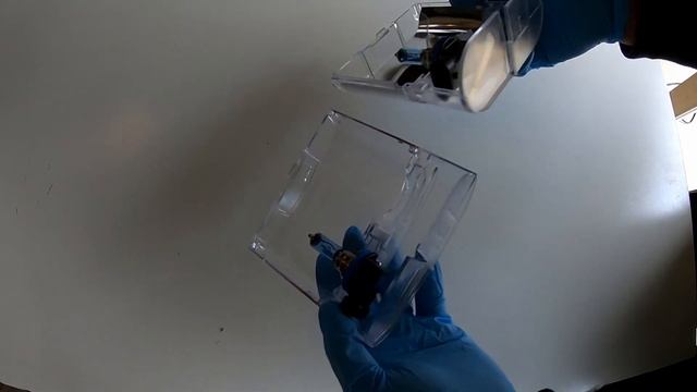 Mazda CX-9 Headlight (bulb) Replacement