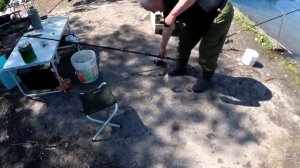 три отличия самца карпа от самки / на Днестре пошел карп  /  рыбалка на Днестре /  Маяки