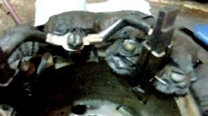 муравей  сборка, финиш