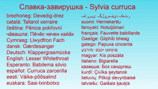 Птицы 45 видов птиц в одном видео и их голоса смотреть онлайн