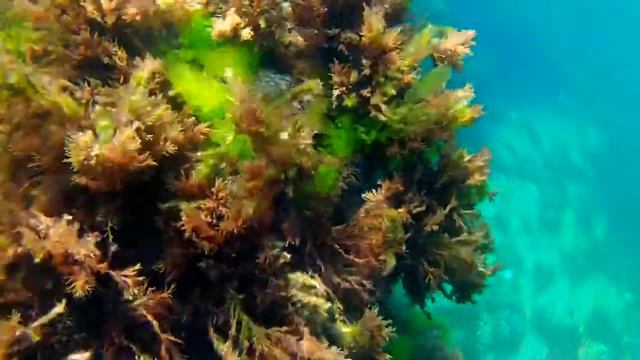 Севастополь.Голубая бухта. смотреть онлайн