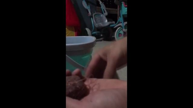 Заряжаем "Бомбочку" смотреть онлайн