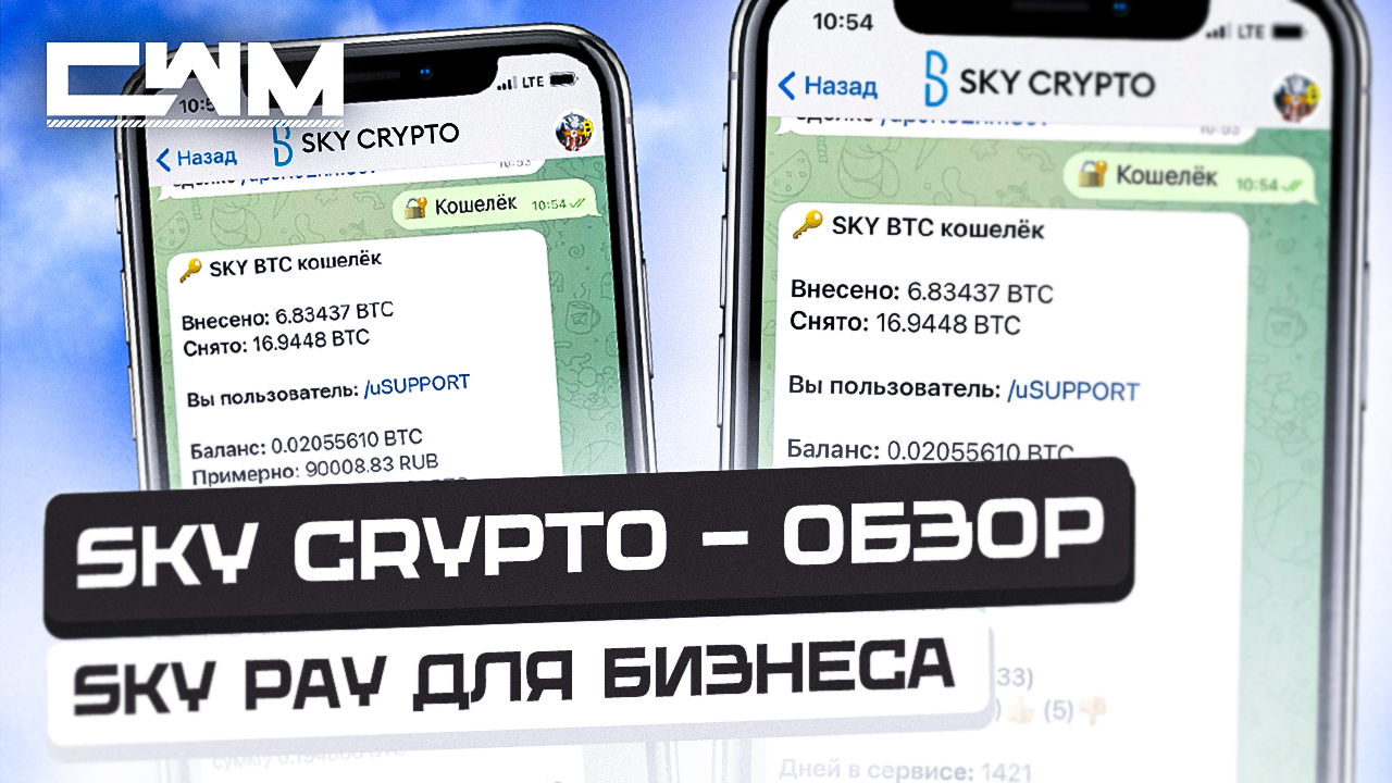 SKY CRYPTO - ОБЗОР, SKY-PAY для бизнеса. смотреть онлайн