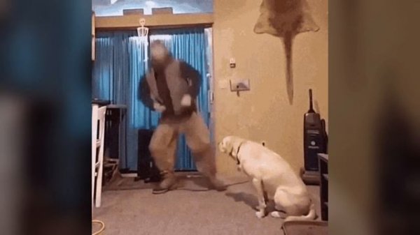 boing boing boing BOING boing bongy boing! (markiplyer Dance meme.gif)