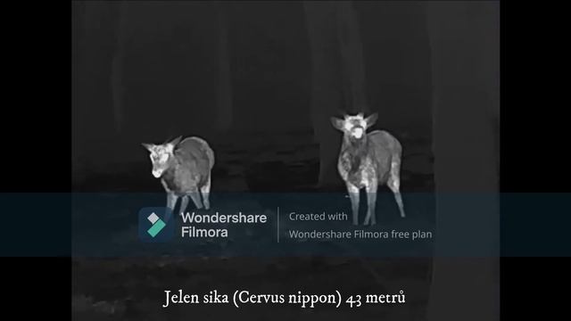 INFIRAY FINDER FL25R смотреть онлайн