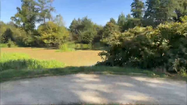 Лучший маринад для шашлыка🤤The best marinade for barbecue👩🏼🍳 смотреть онлайн