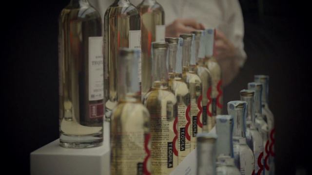 Agave Experience 2014 - Documentary смотреть онлайн