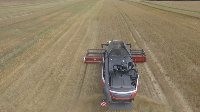 RSM 161 в Польше