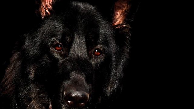 Отчим хотел совершить страшный поступок с девочкой прямо в сарае. Он не знал, кто наблюдает за ними смотреть онлайн